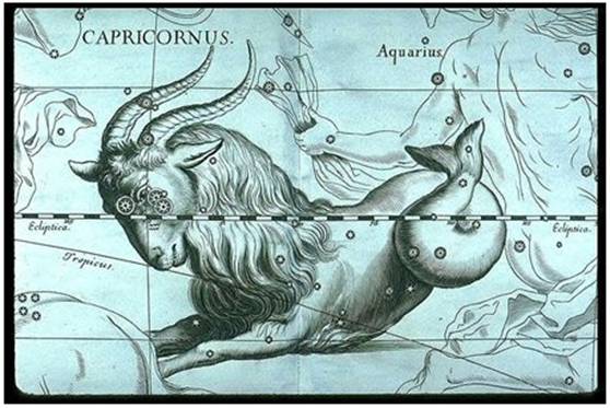 capricorn seagoat.jpg